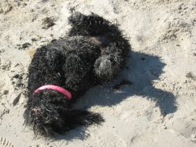 IMG_0471.JPG